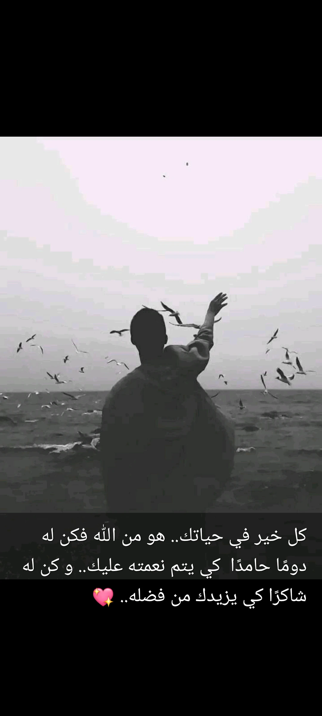 Mohammad AlRefaie
